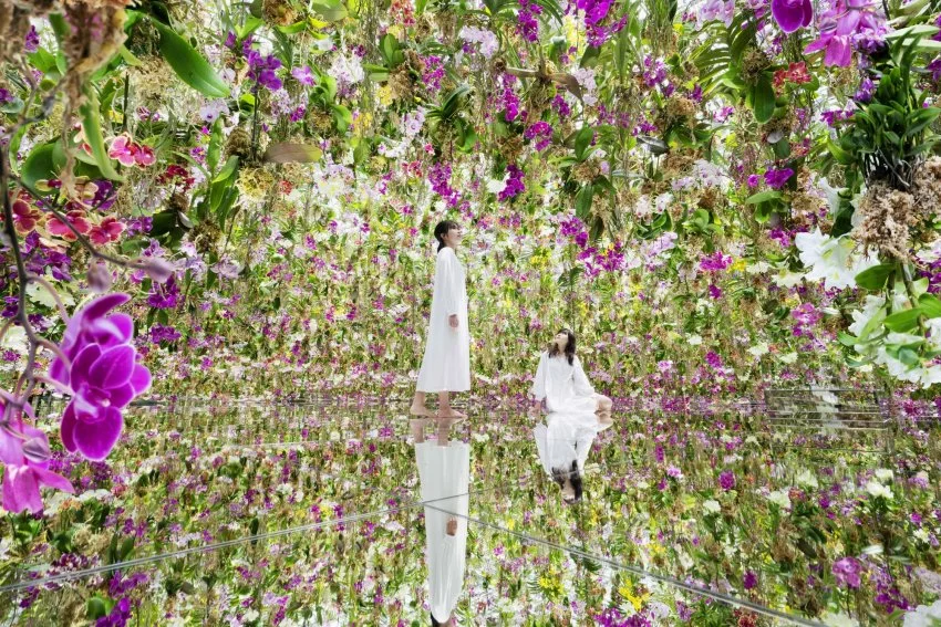 teamLab, Floating Flower Garden: Flowers and I are of the Same Root, the Garden and I are One, 2015-, interactive installation. © teamLab