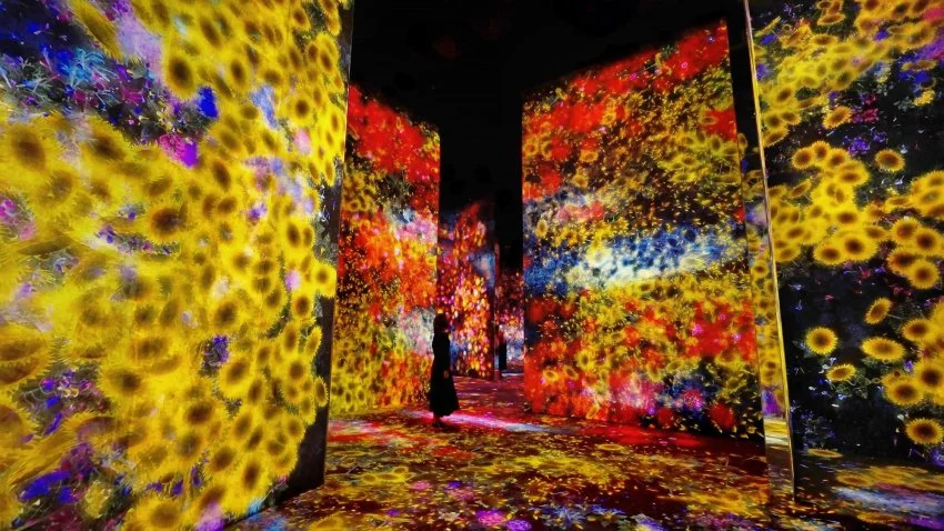 teamLab, Flowers and People, Cannot be Controlled but Live Together. teamLab Borderless, Tokyo. © teamLab