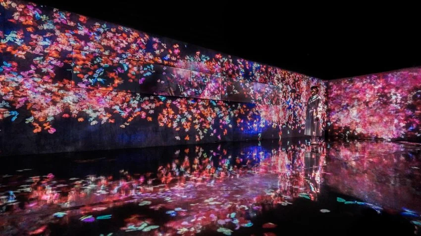 teamLab, Flutter of Butterflies Beyond Borders. teamLab Borderless, Tokyo. © teamLab