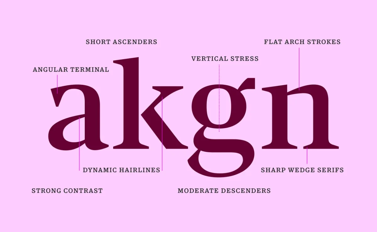 The word "akgn" in burgundy serif typeface on pink background with labels pointing to design features including angular terminal, short ascenders, dynamic hairlines and sharp wedge serifs
