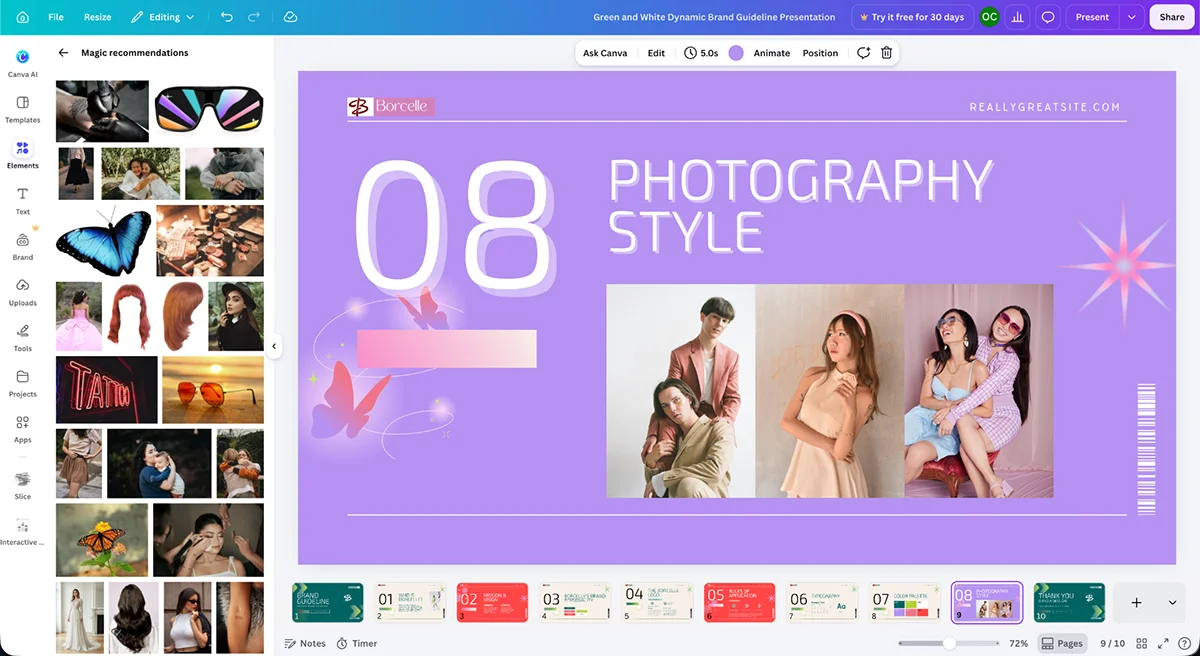 best presentation software - Canva's stock photos and videos library