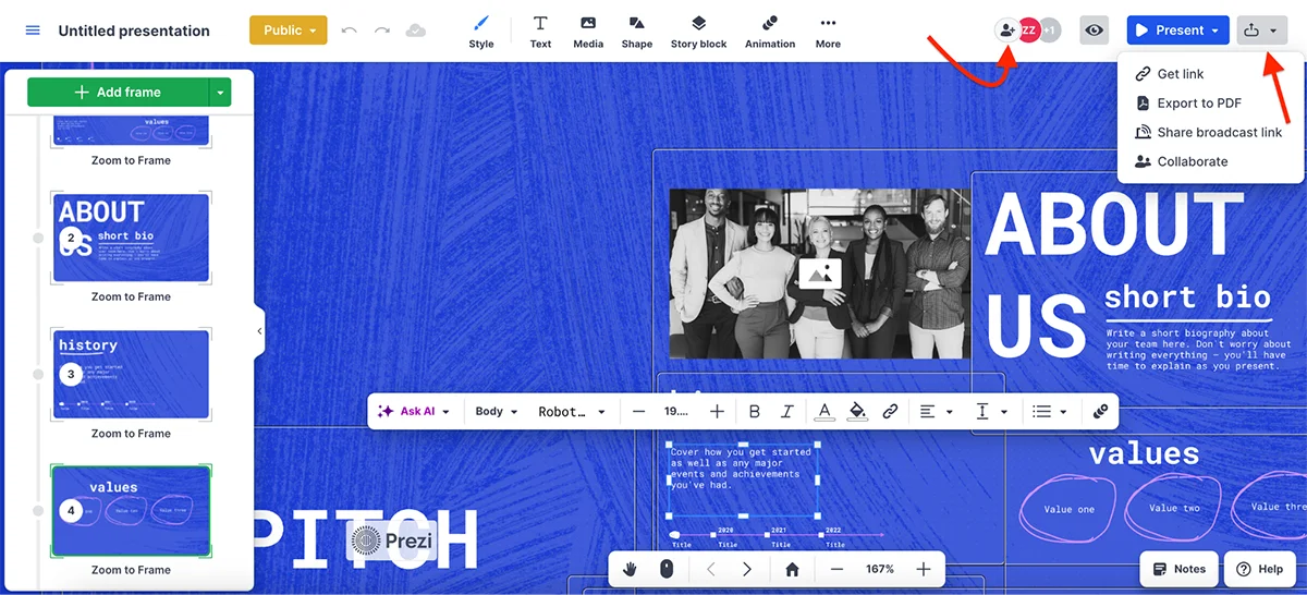 best presentation software - Prezi's privacy and protection options