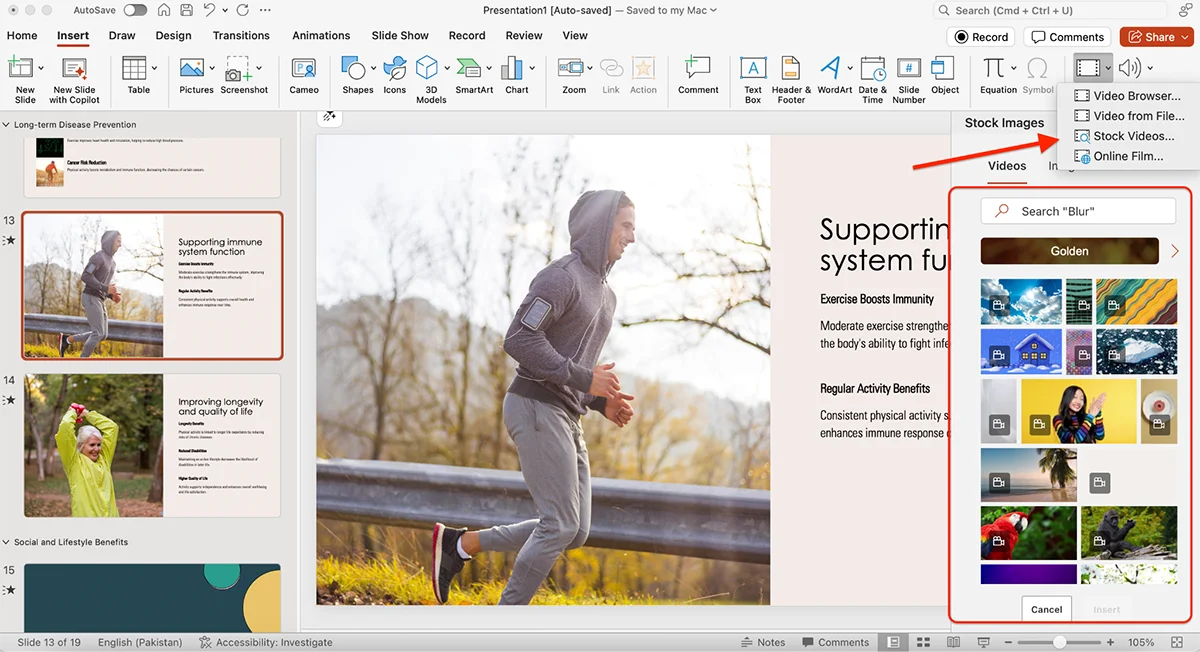 best presentation software - Microsoft Powerpoint asset library 