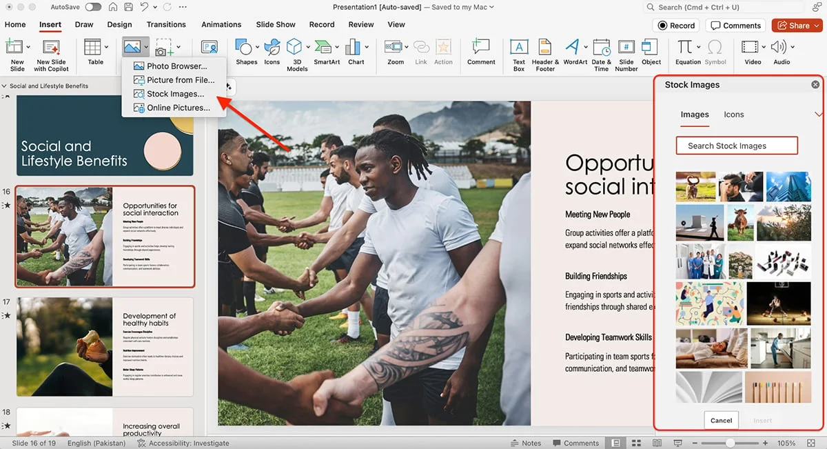 best presentation software - Microsoft Powerpoint asset library 
