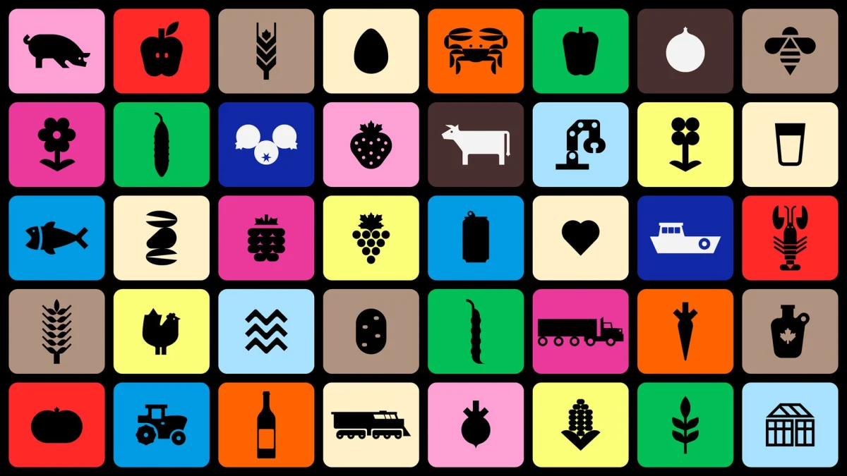 caserne lets grow canada branding identity design logo bpo review icons