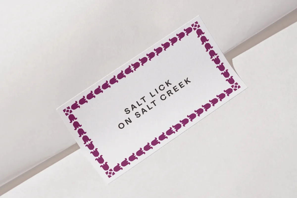 salt lick on salt creek by order brand identity design logo bpo review pattermn