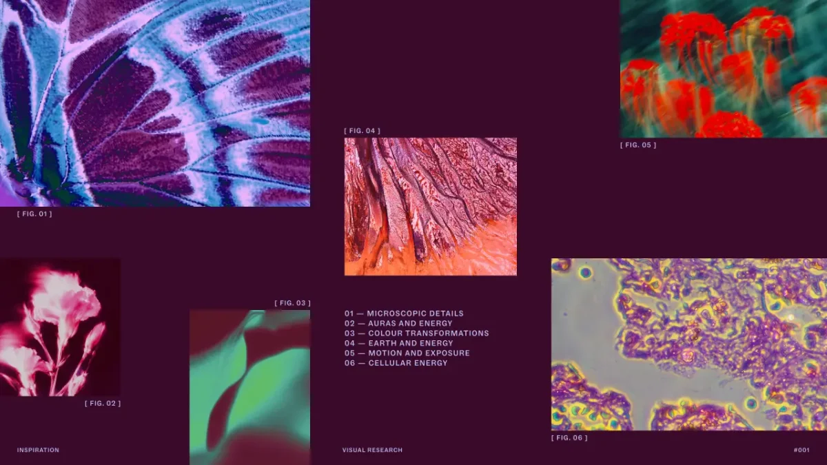 Mood board showing Purple Garden's visual research including close-up textures of purple and blue patterns, red flowers, pink blooms, orange geological formations, green botanical details and yellow cellular structures